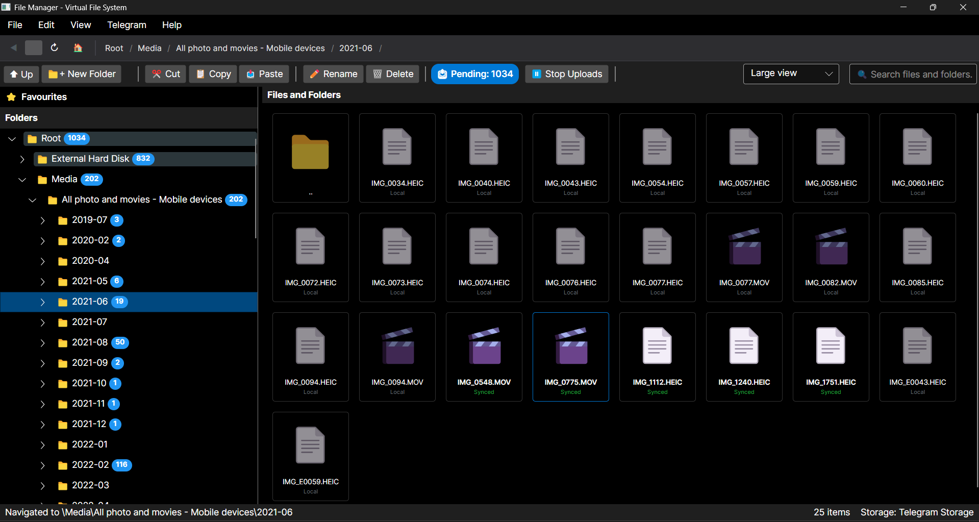 VastacDrive grid view showing file thumbnails with cloud sync status indicators